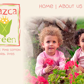 Nazca Green Website